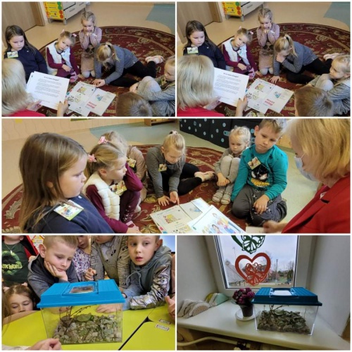 VEIKLA „ZIPIO DRAUGAI“ GRUPĖJE „BORUŽIUKAI“